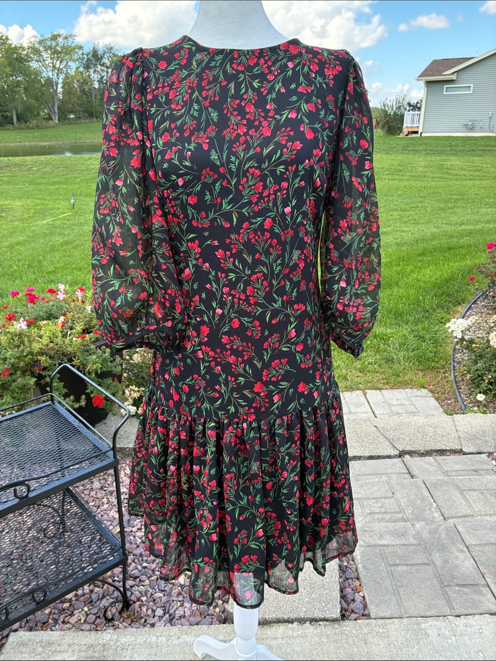 Calvin Klein Black Ruffle Hem Dress with Red/Green Floral Print 4
